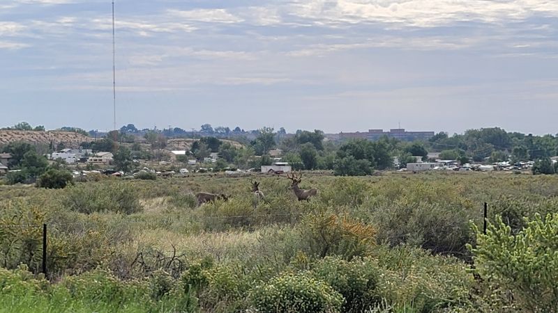 Pueblo Gets Colorado Sunshine Without The Big-City Crowds