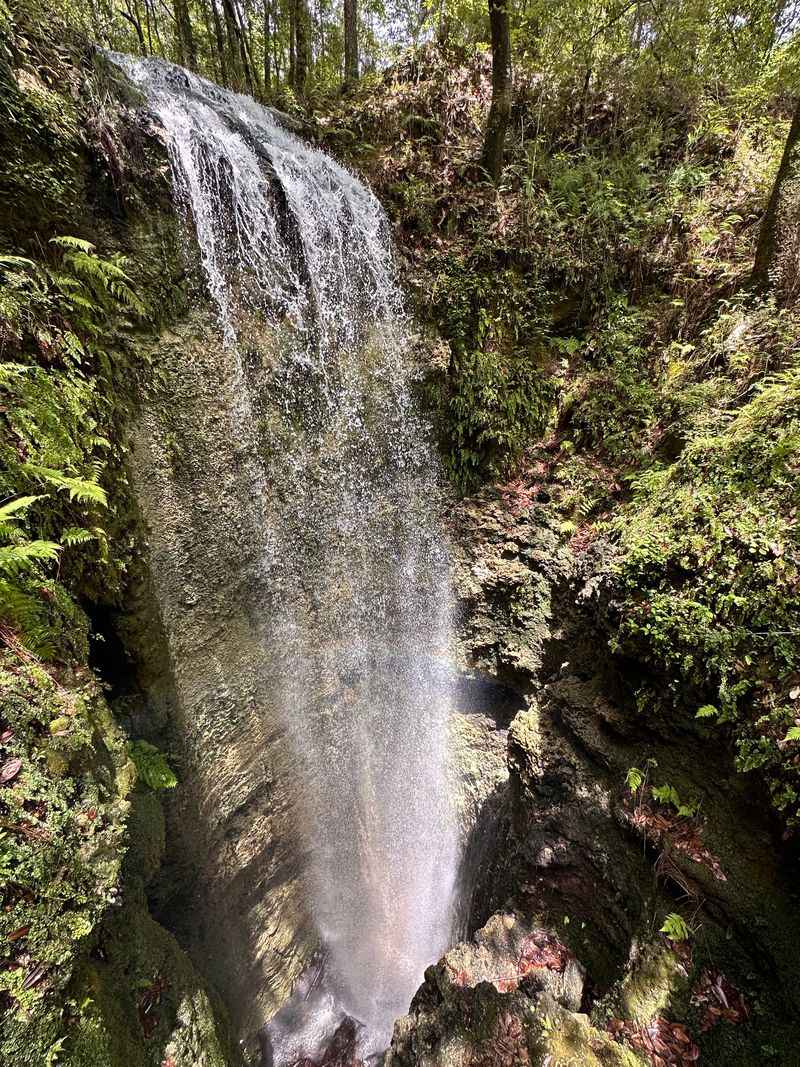 Falling Waters Wiregrass Falls