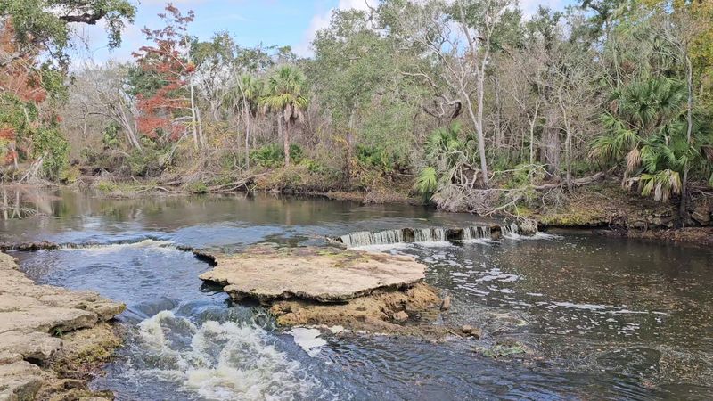 Steinhatchee Falls