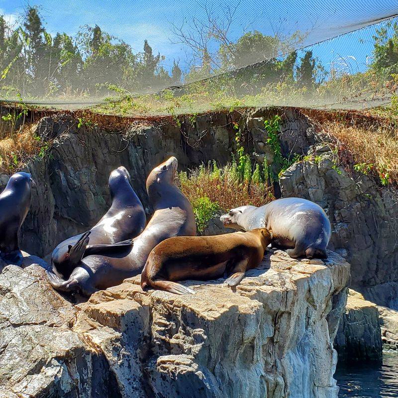 Design That Makes Space For Wonder