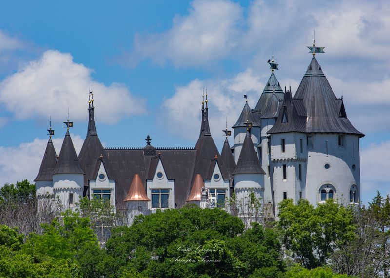 Music Videos, Movies, And Cultural Footnotes