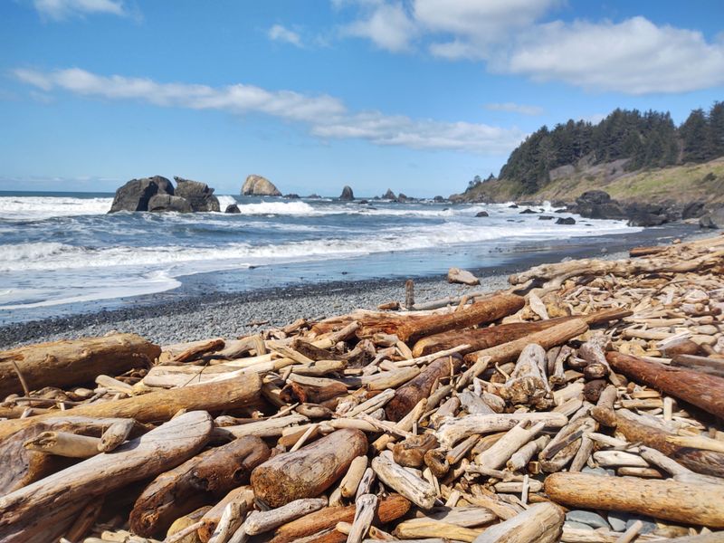 No Parking Lot, No Boardwalk, No Crowds