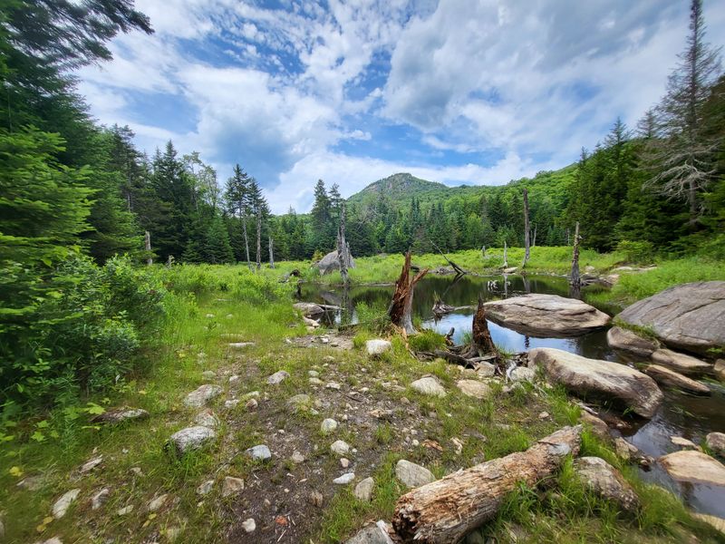 No Roads, No Development, No Distractions