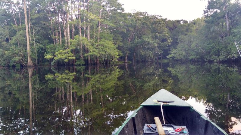 Black River (Three Sisters Swamp Area)