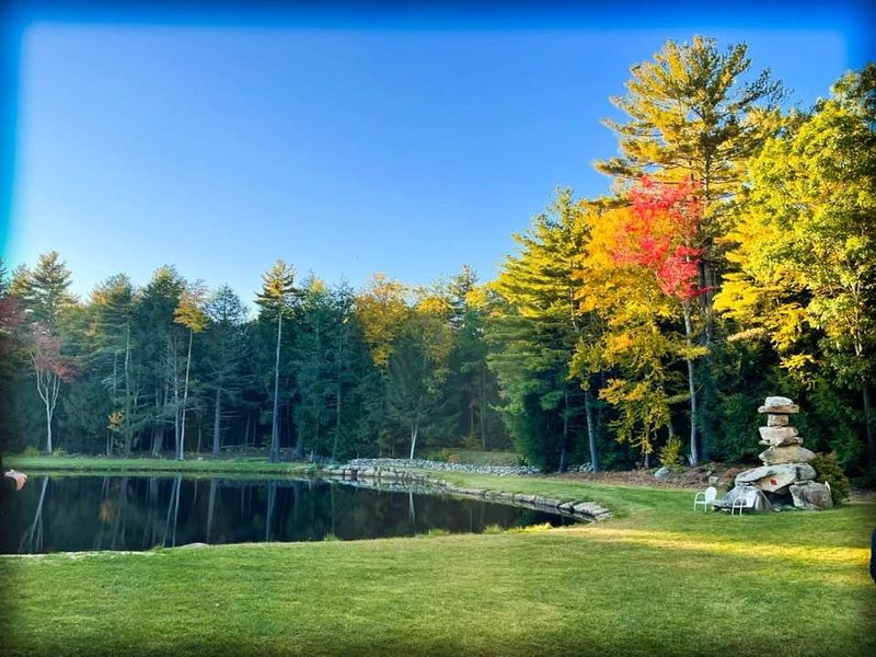 A Slower Pace Of Life Surrounded By Forests And Water