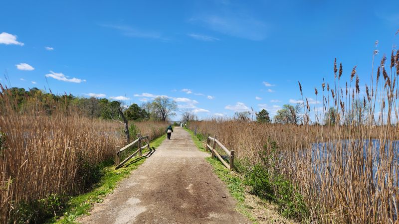 Terrapin Nature Park Boardwalk (Stevensville)