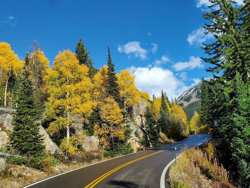 Independence Pass (Part Of Top Of The Rockies Byway)