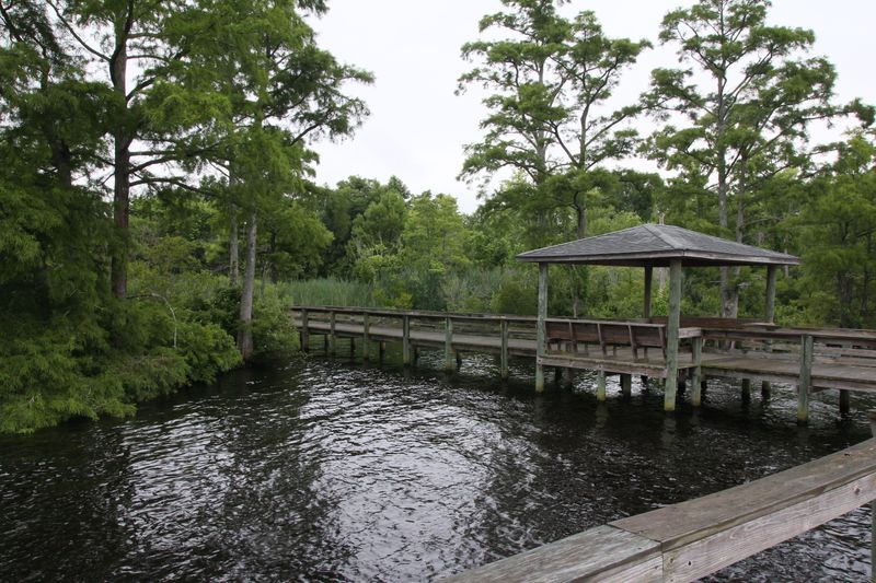 Coastal North Carolina Charm Without Beach Town Prices