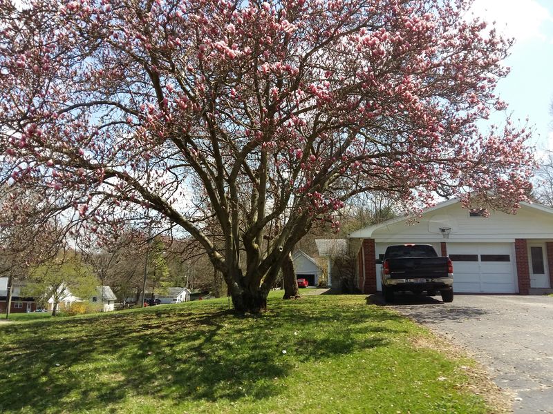 Affordable Housing And Cost Of Living