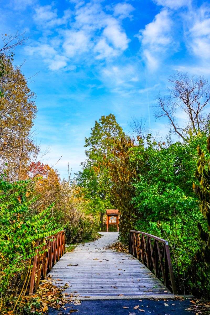 Florida's Role In The Future Of Wildlife Conservation