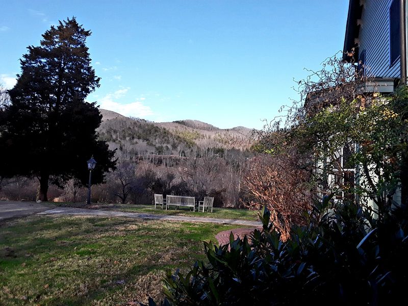 Visitors Arrive Looking For Stillness, Not Entertainment