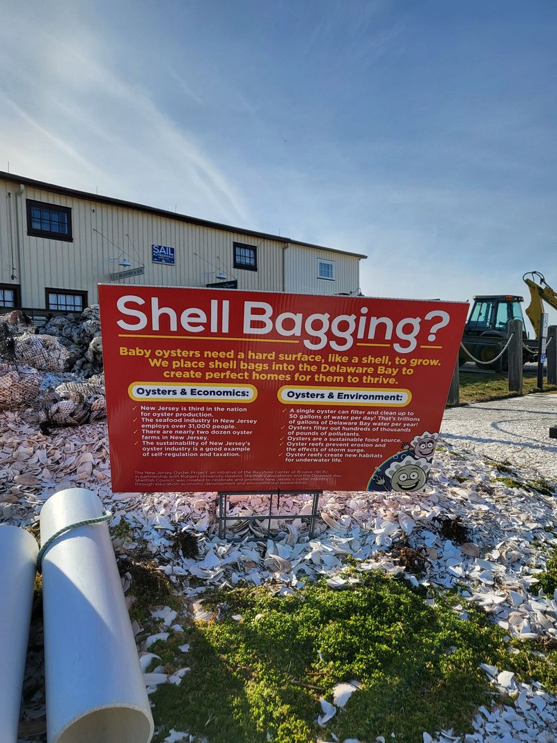 Preserved, Not Recreated