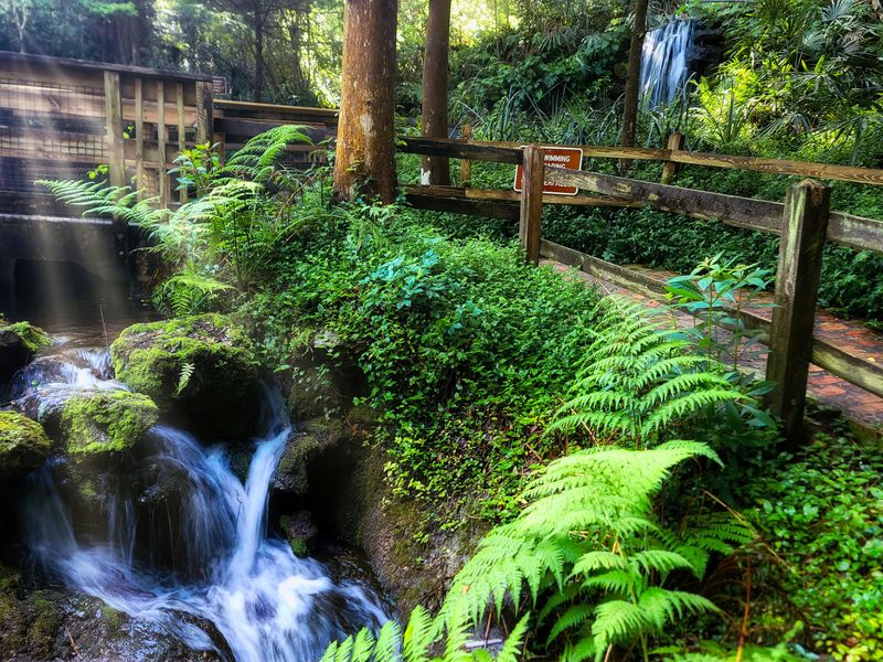 Rainbow Springs Waterfalls