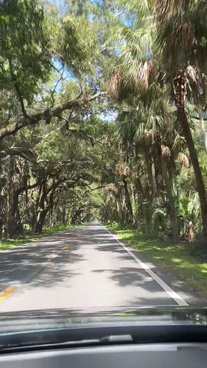 Driving Through A Dream On Martin Grade Highway
