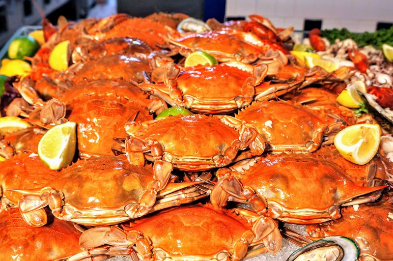 Strategic Timing Can Enhance Your Captain King's Experience