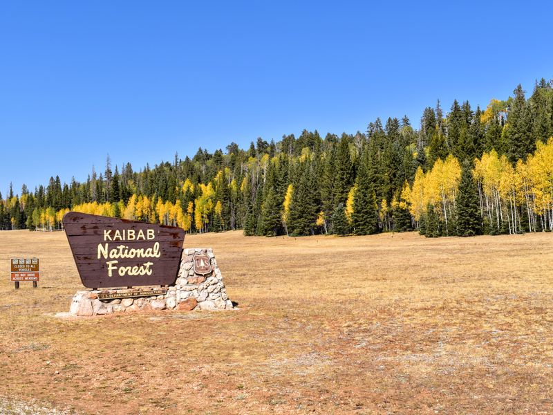 Kaibab Plateau-North Rim Parkway
