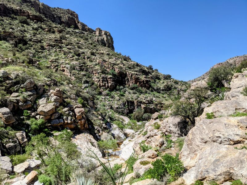 Molino Canyon (Santa Catalina Mountains Near Tucson)