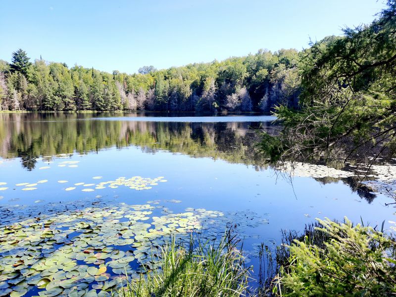 Forests And Waterways Surround Everyday Life