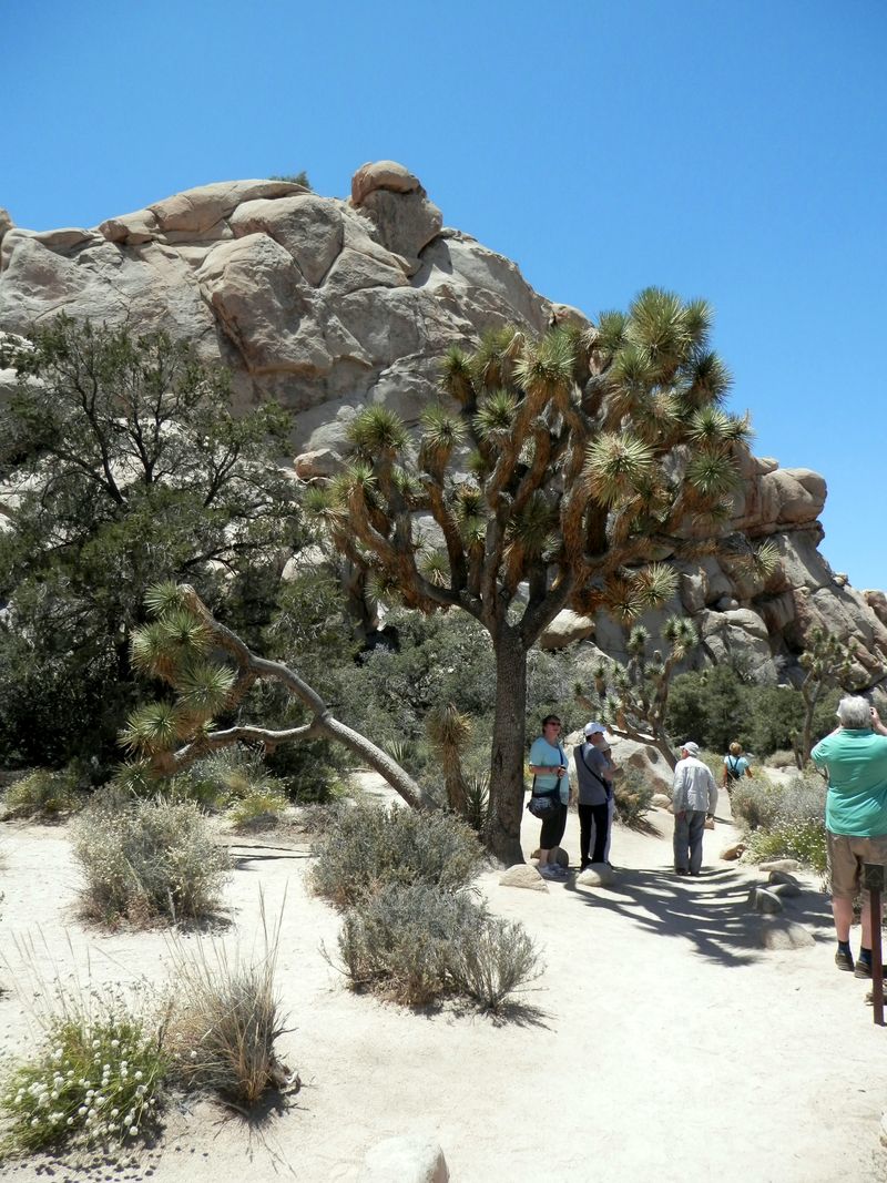 The Desert Setting Encourages Slower, More Intentional Living