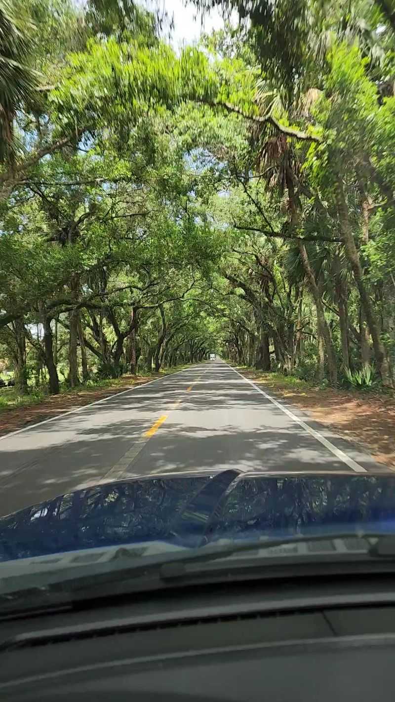 Experience The Beauty Of Martin Grade Scenic Highway