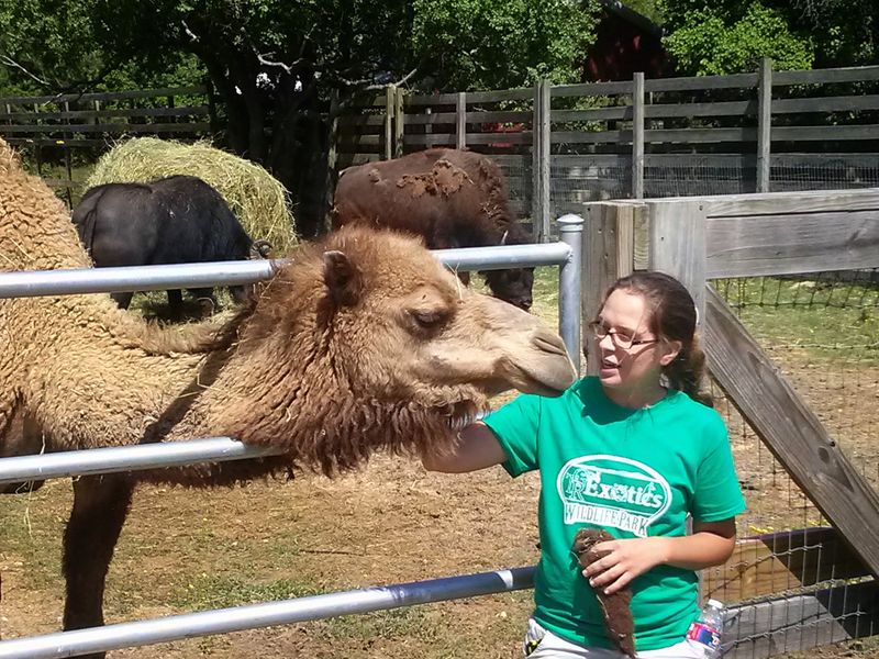 Fun For All Ages With Tailored Experiences