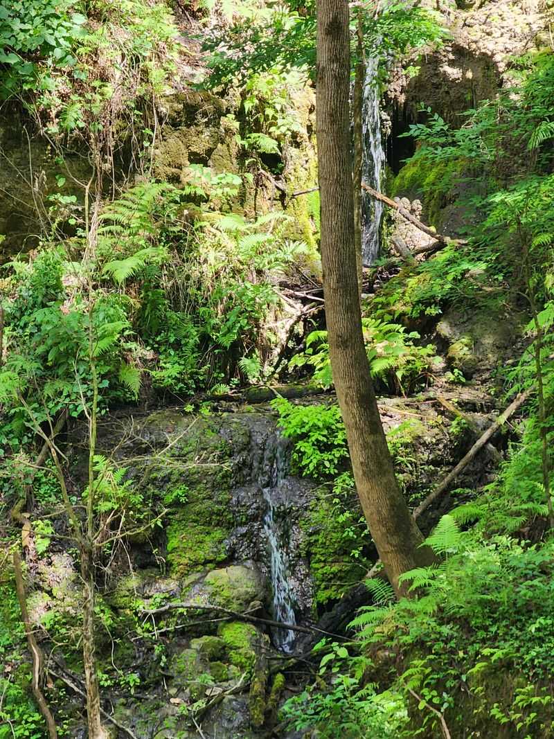 Devil's Millhopper Cascades
