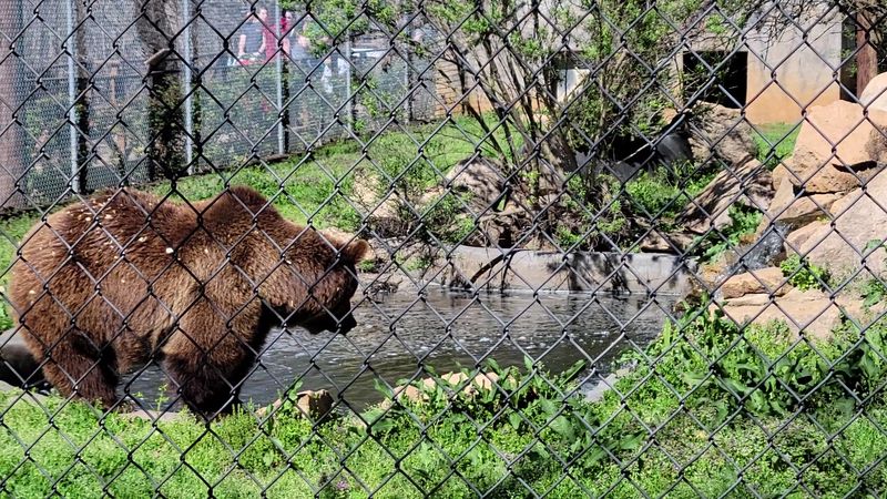 Learning How Wildlife Is Protected