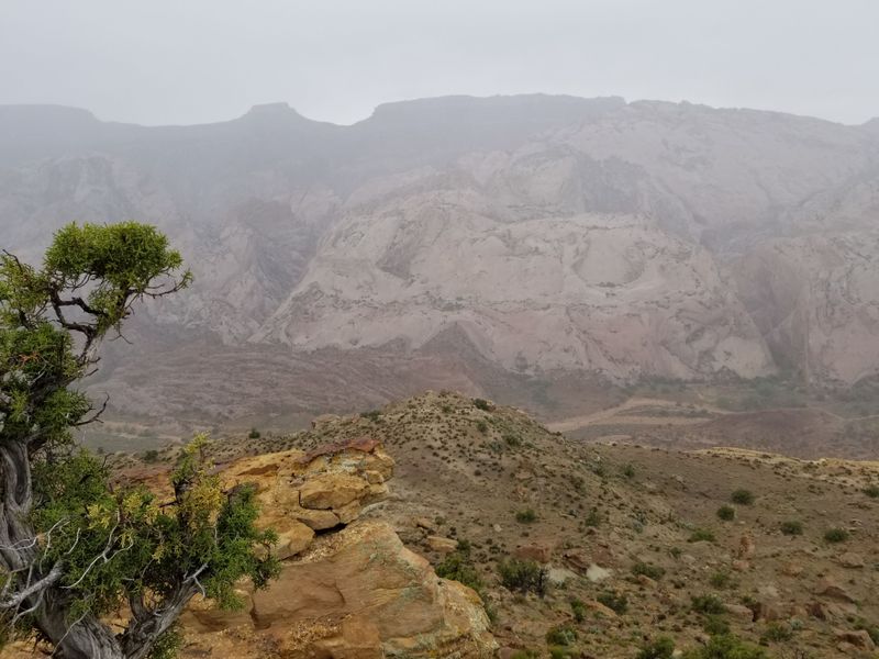 Halls Creek Overlook Road (Capitol Reef National Park)