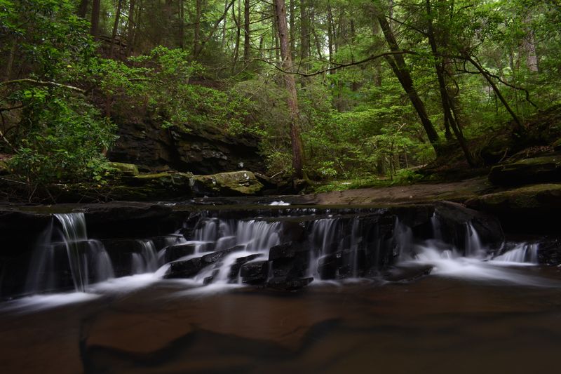 Grundy Forest Day Loop (South Cumberland)