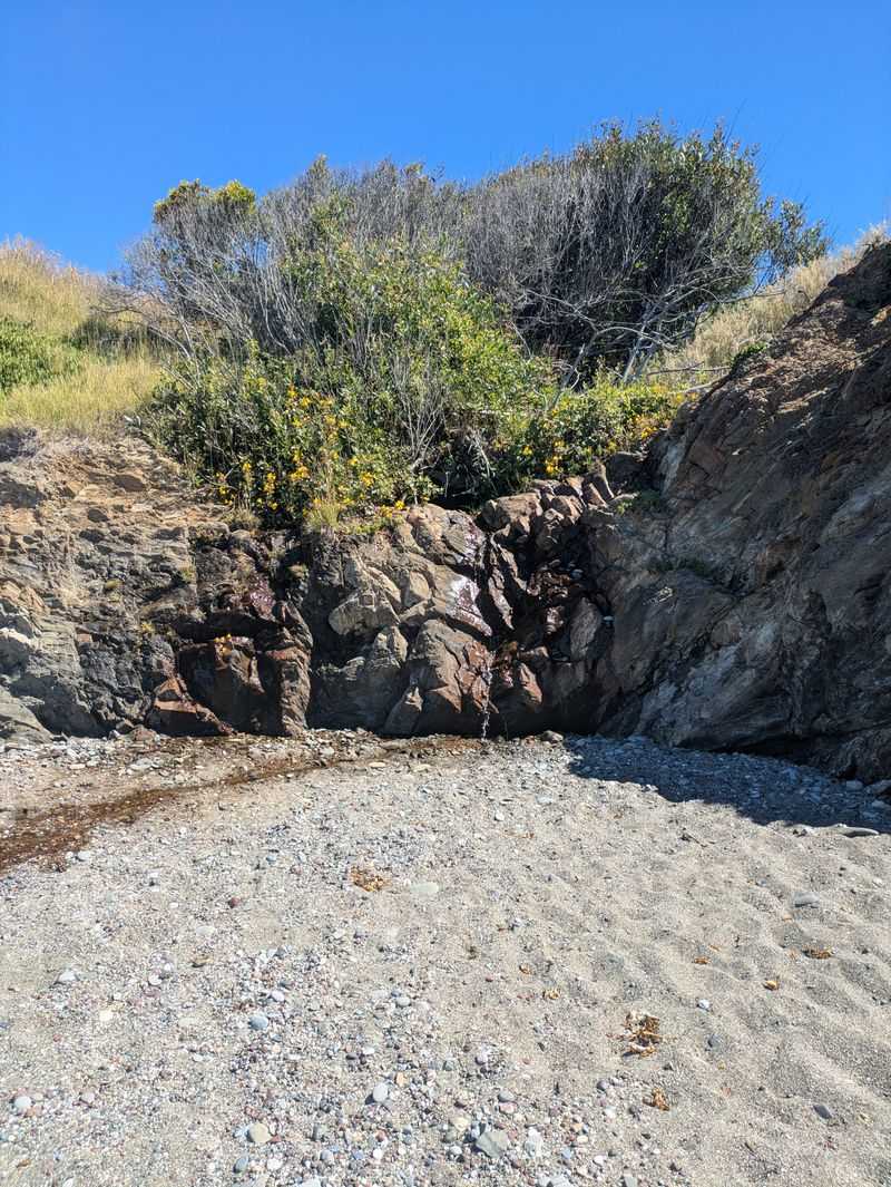 Shell Beach Coastal Access Trail