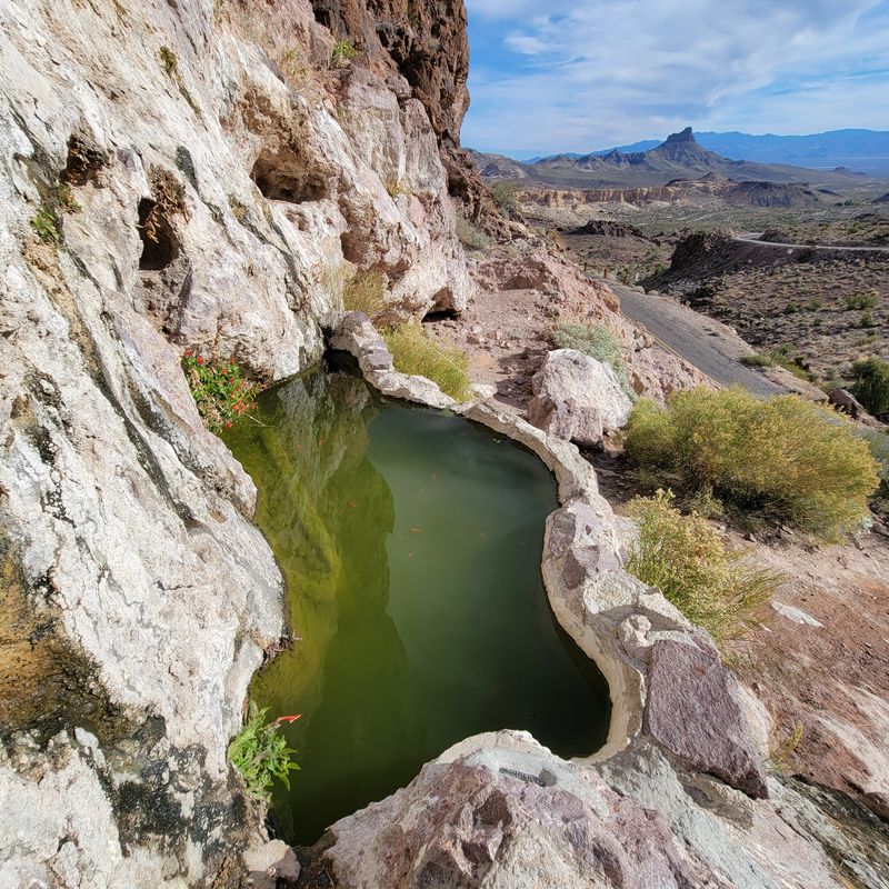 Fish Bowl Spring (Golden Valley)