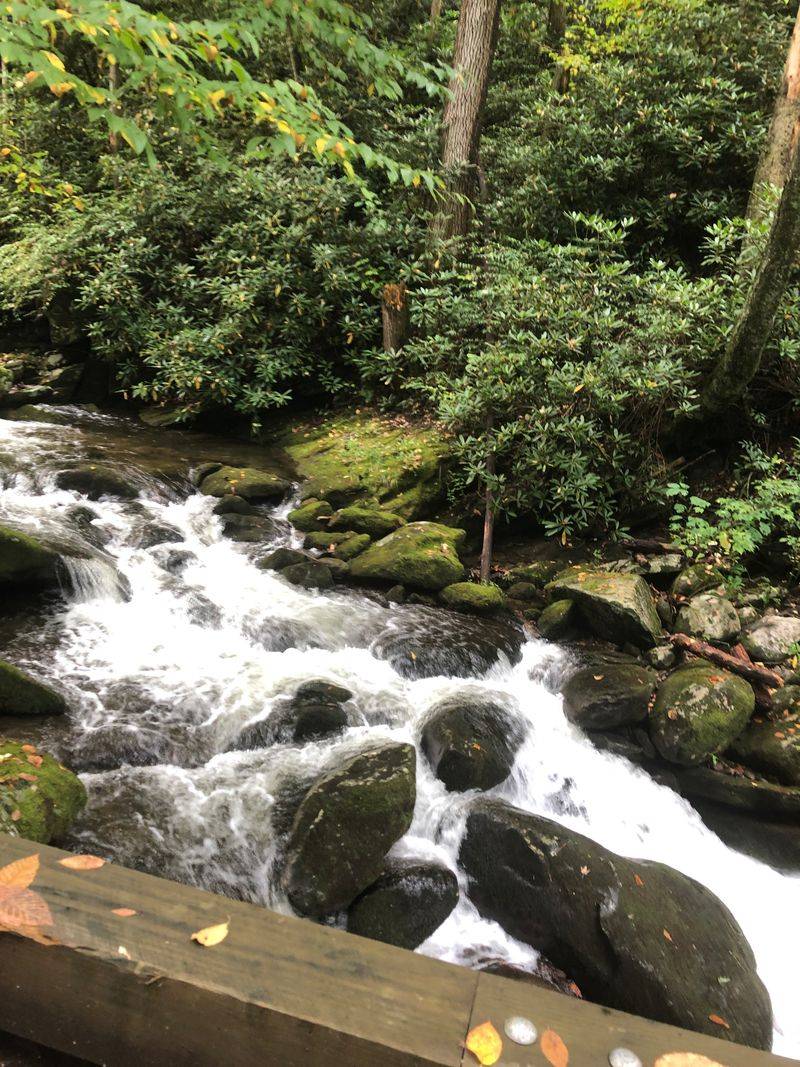 A Fairy-Tale Bridge At The Falls