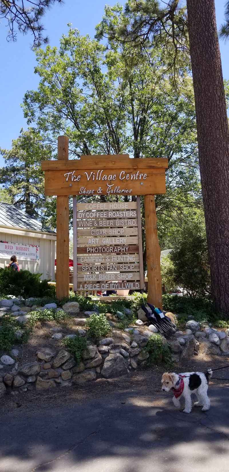 A Strong Arts And Music Scene For Such A Small Town