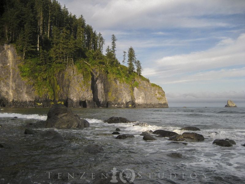 Easy Access To Tidepools And Rocky Shorelines