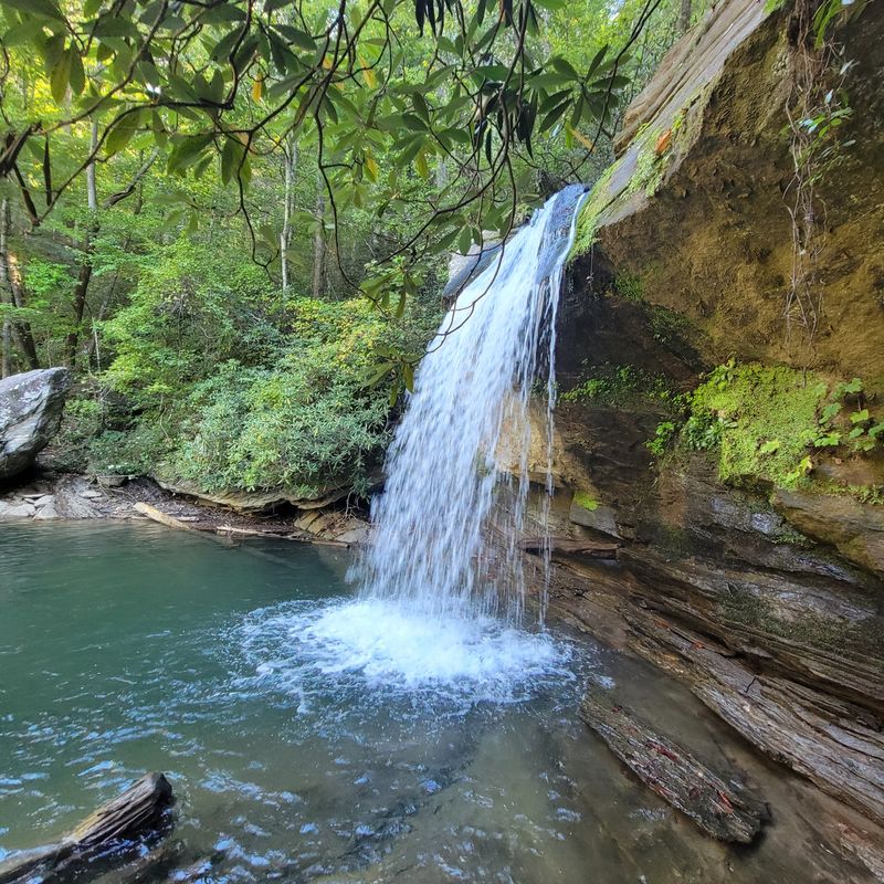 Devil's Fork (Conservation Area)