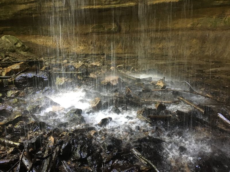 The Best Time To Visit Tannery Falls: When To See The Water Flowing At Its Best