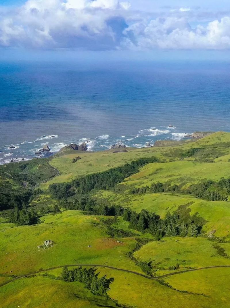 Estero Americano Coast Preserve