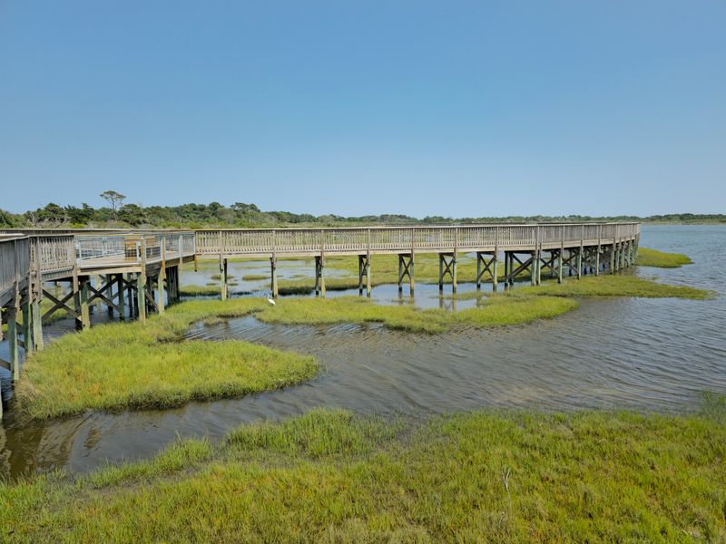 Life Of The Marsh Boardwalk Trail (Assateague Island)