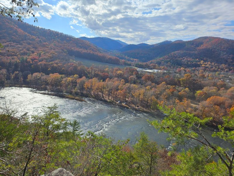 Protected Forest Land Surrounds The Community