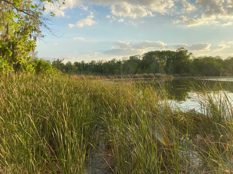 Why This Boardwalk Leaves A Lasting Impression