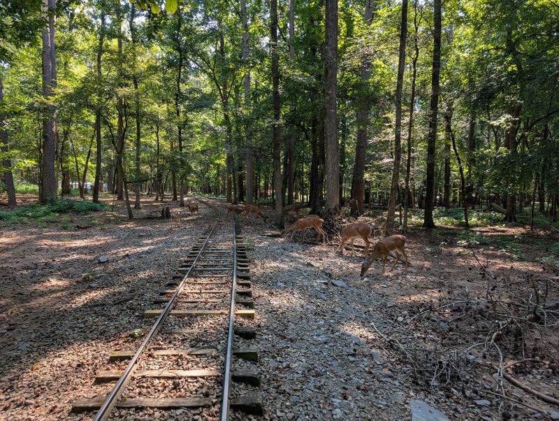 An Adventure For All Ages: Fun For The Whole Family