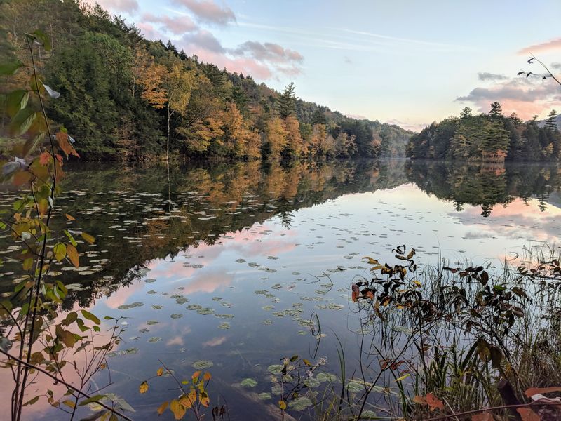 Miles of Scenic Hiking Trails for a Stress-Free Adventure