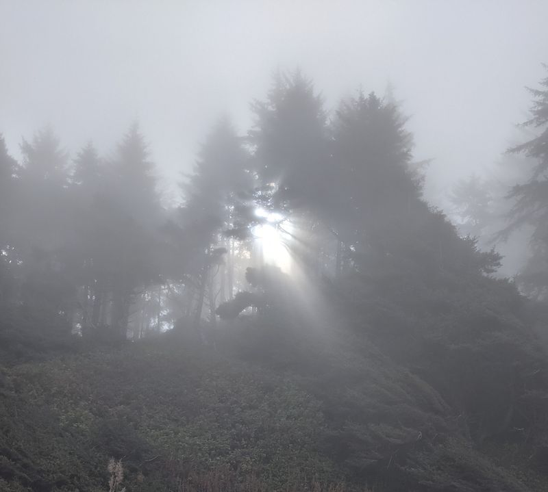 Fog Is Part Of The Personality