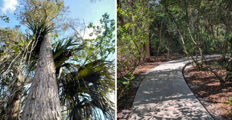 The Florida Nature Preserve Most Residents Don’t Even Know Exists