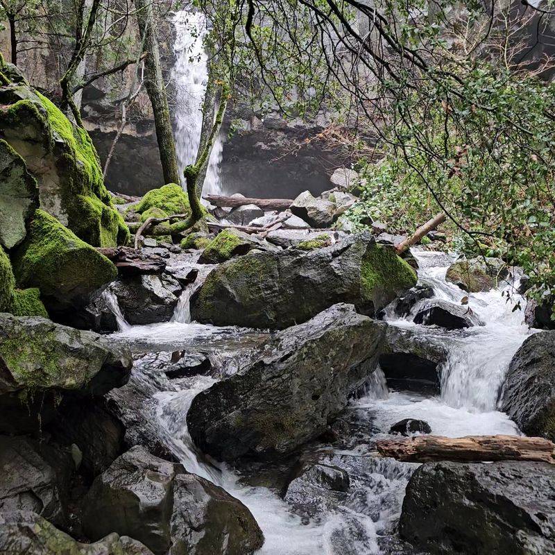 Lush Greenery Makes It Feel Like A Hidden Forest Escape