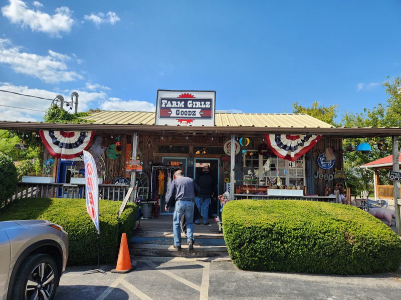 The RC Cola & MoonPie Festival: A Local Tradition