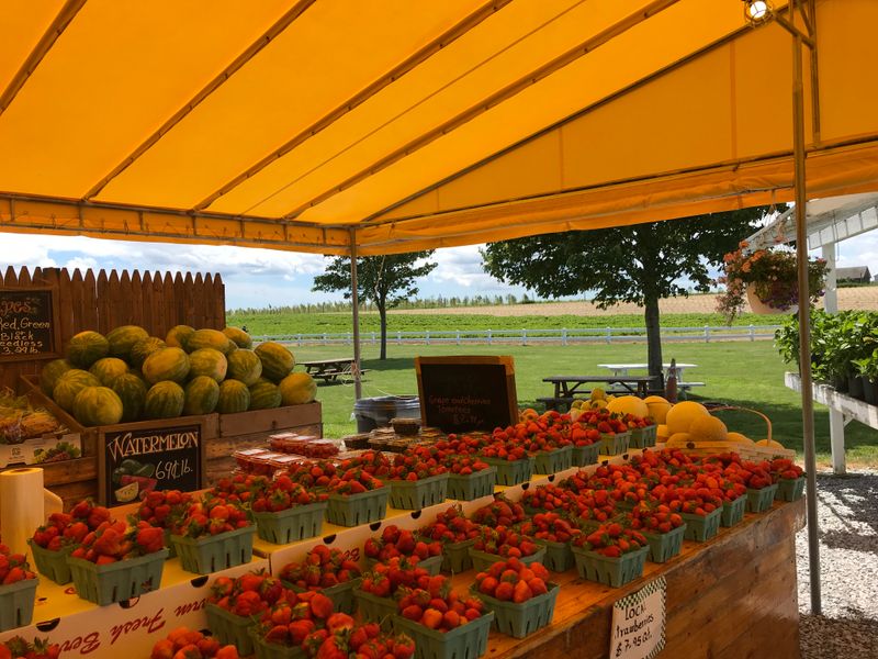 Main Street At A Comfortable Pace