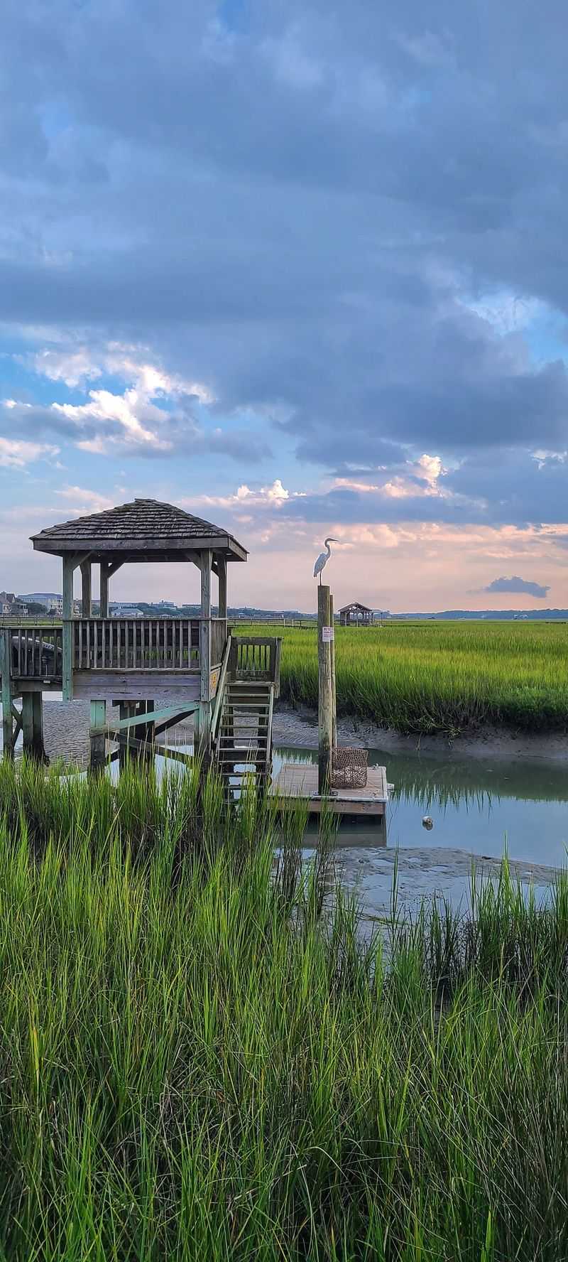 The Tranquil Pawleys Island Creek Is A Hidden Gem