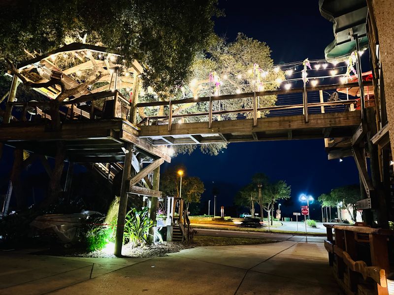 The Treehouse Becomes Magical After Dark