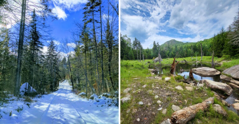 The Overlooked New York State Forest Where You Can Hike All Day In Silence